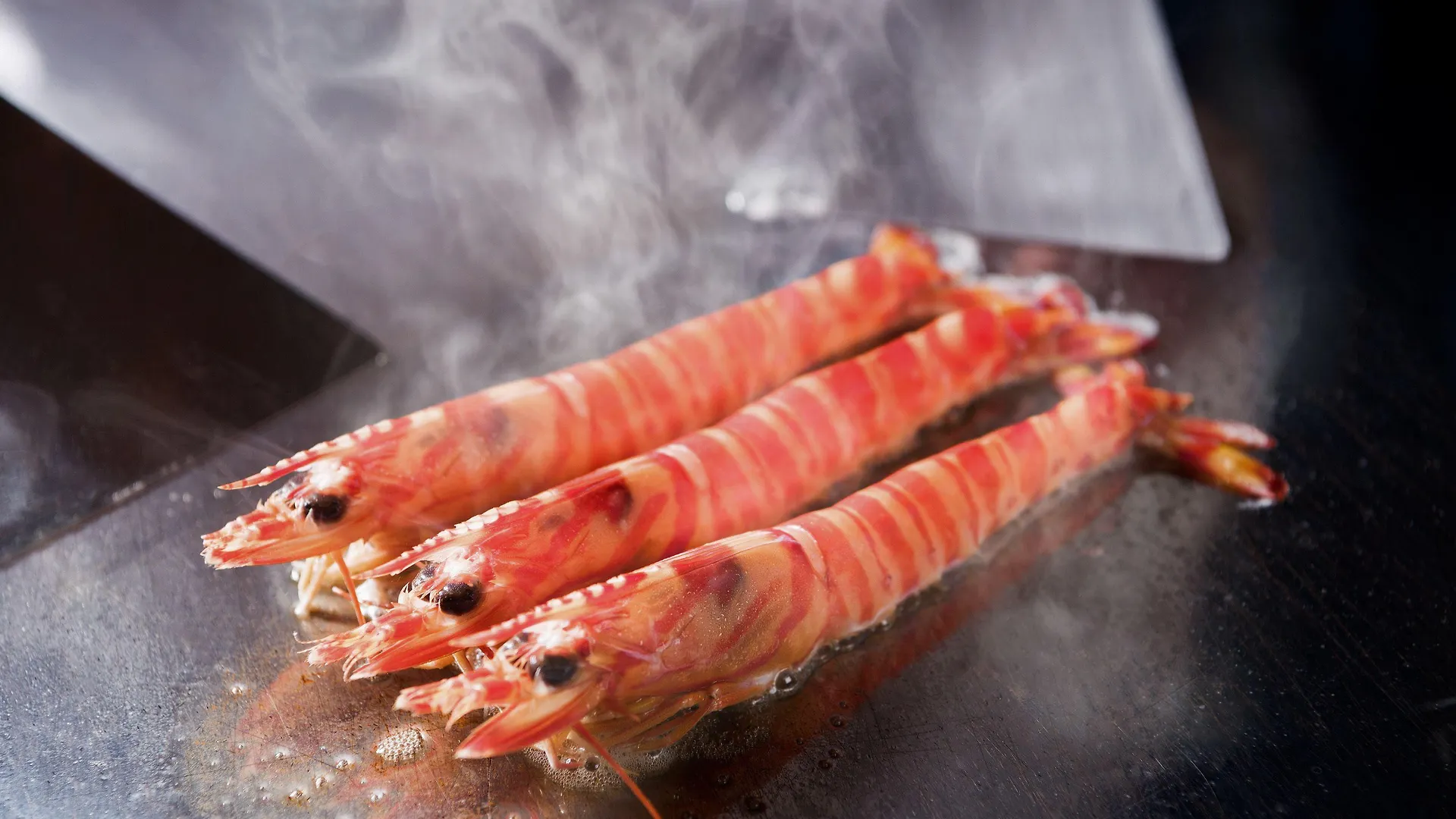 ホテル 京都 新阪急ホテル